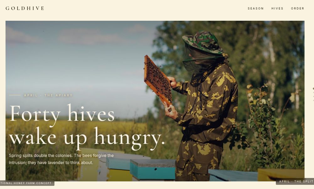 GOLDHIVE website preview