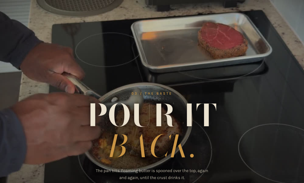 SEARED website preview