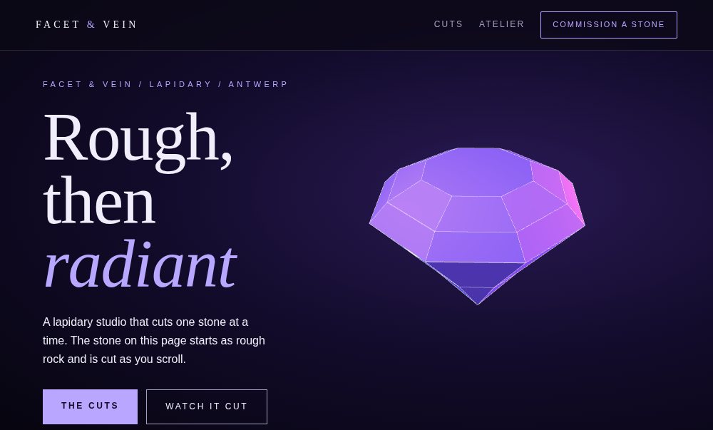 FACET & VEIN website preview