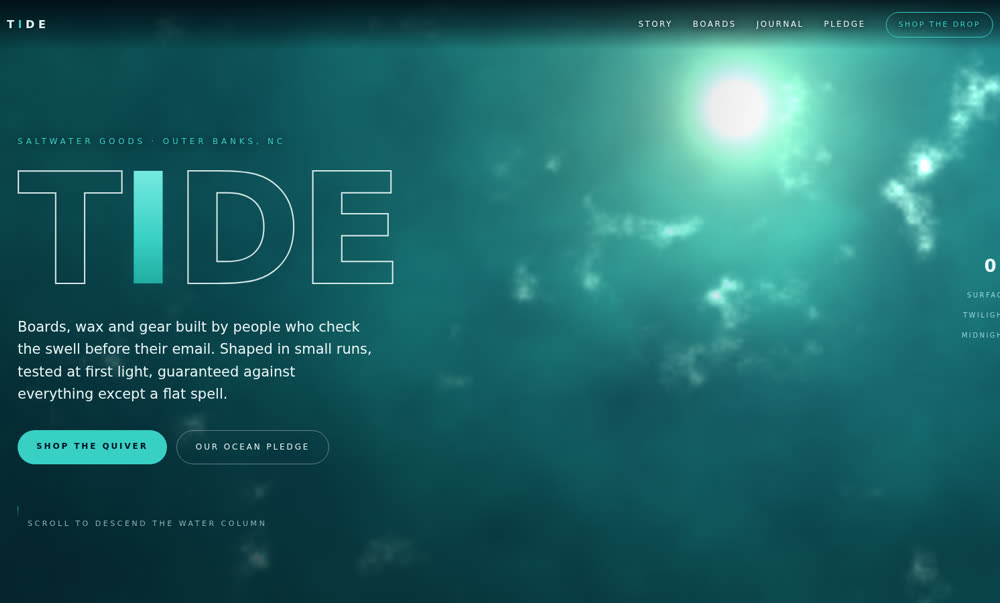 TIDE website preview