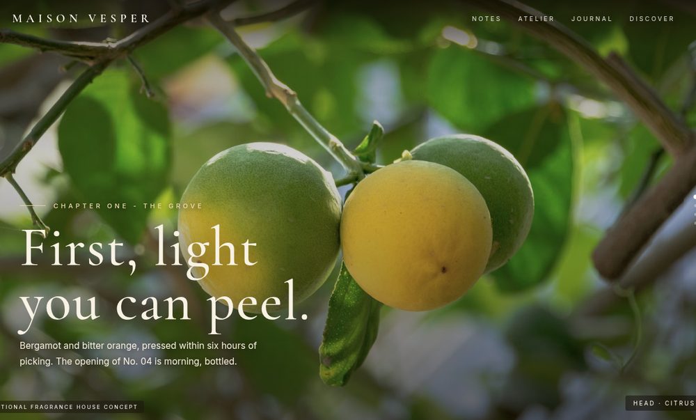 MAISON VESPER website preview